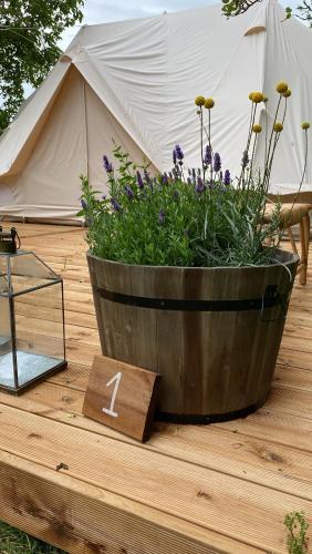 花園, Green Glamping in 市中心