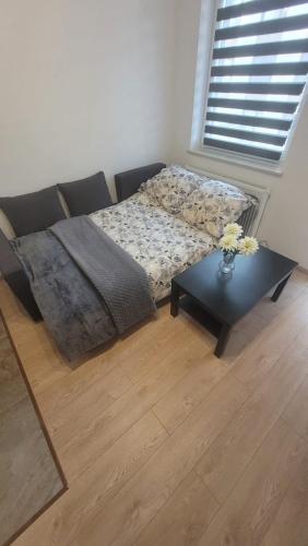 Apartament "Cztery Pory Roku"