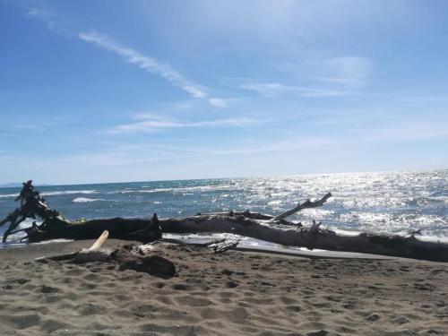 Hotel Grifone - image 12