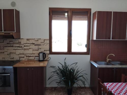 Alimentos e Bebidas, The Garden Guest House in Divjake