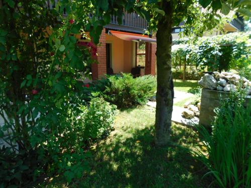 Apartment Branko Apartment Branko