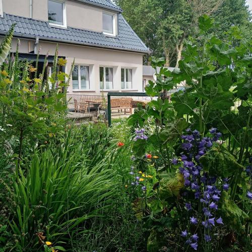 Kert, Deich in Karolinenkoog