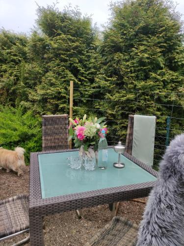 Erkély/terasz, Deich in Karolinenkoog