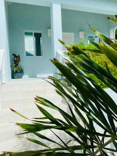 Trade Winds Cottage 2