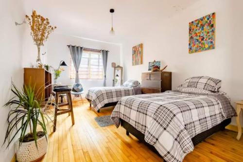 Indigo Guest House Indigo Guest House