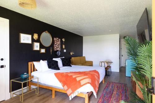 1 king bed, 1 sofa bed