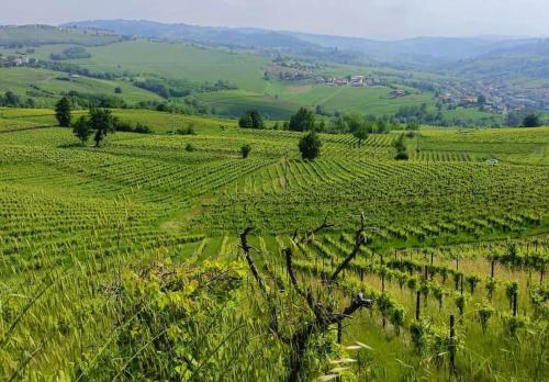 Apkārtne, [Oltrepo'] Dimora nei vigneti vicino a Ics Maugeri in Santa Maria della Versa
