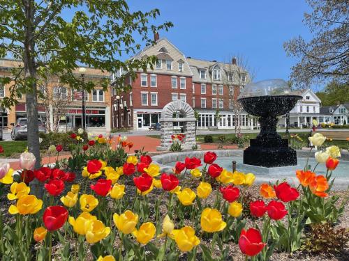 The Brandon Inn - main image