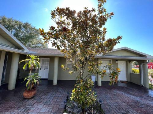 Lovely 2 bedroom apartment in Port Richey
