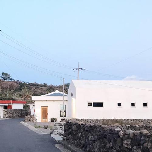 A shell in Jeju, Seogwipo