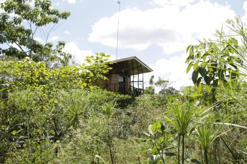 Onca Tours & Tree houses in Arenal
