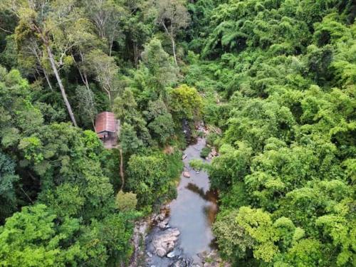 Bee Bee's Chalets in Банлунг