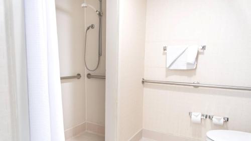 Springhill Suites by Marriott Chicago Elmhurst Oakbrook Area in Elmhurst, USA