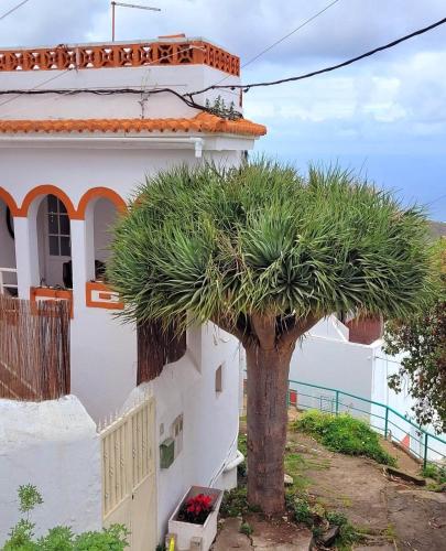 Acoran Family Ocean View Guest House With Daily Yoga Practice Included North Gran Canaria PRIVATE RO - Barranquillo Frio