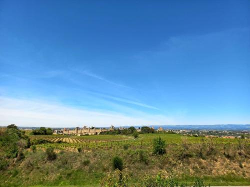 Appartement avec accès privé à la rivière (Appartement avec acces prive a la riviere) in Ladern-sur-Lauquet