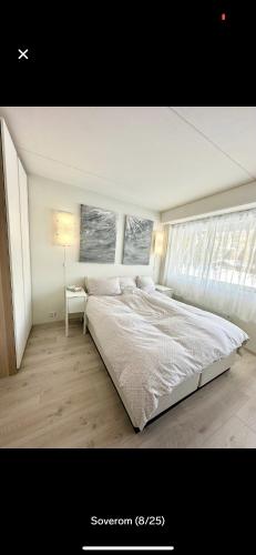Bjorli Apartment with everything, 150m from ski lift in 比約利