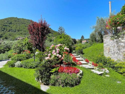 Breva Loft tra gli ulivi ed il lago