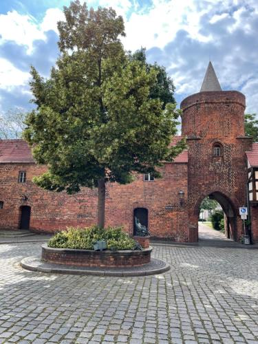 SORAT Hotel Cottbus - image 9