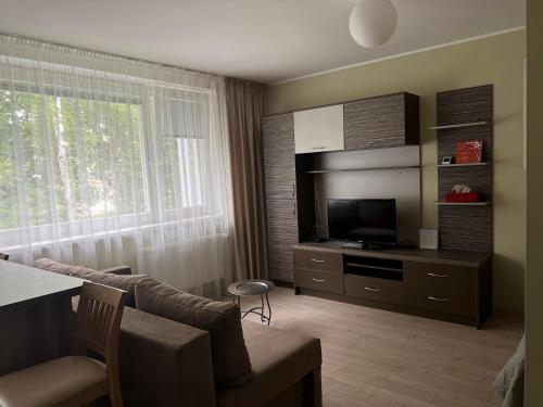 Zajednički dnevni boravak / prostorija s TV-om, Elsertos namai in Bubiai