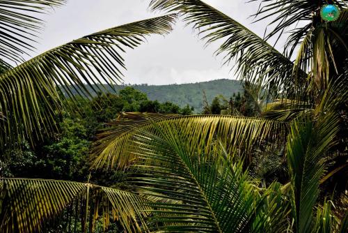 Green View