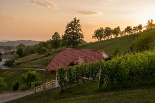 Vineyard Cottage Krivic