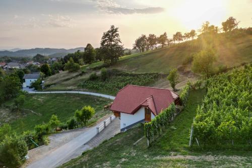 Vineyard Cottage Krivic