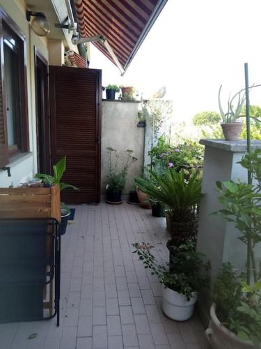  Ryder Cup Apartments in Marco Simone