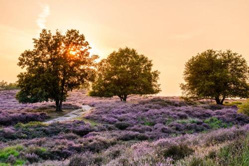  Vakantie bij Meeussen - Schuttersoord in Mook