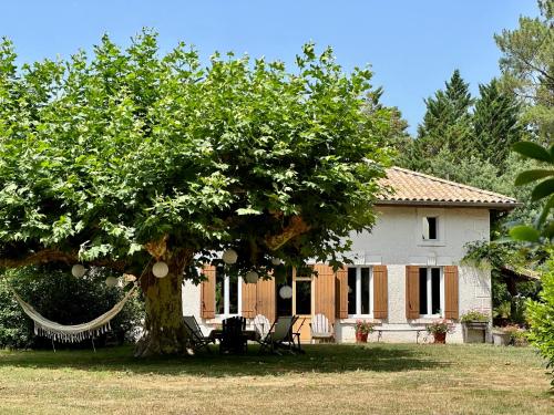 La Ferme du Miouat - Chambre d'hôtes - Saint-Julien-en-Born