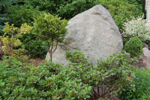 Hotel am Weißdornbusch - image 10