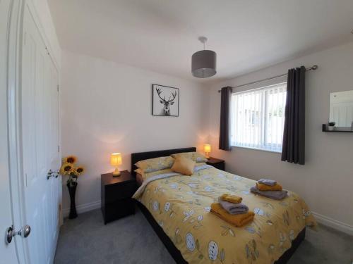 Modern, self-contained annexe in the countryside, Callington (Foto 3)