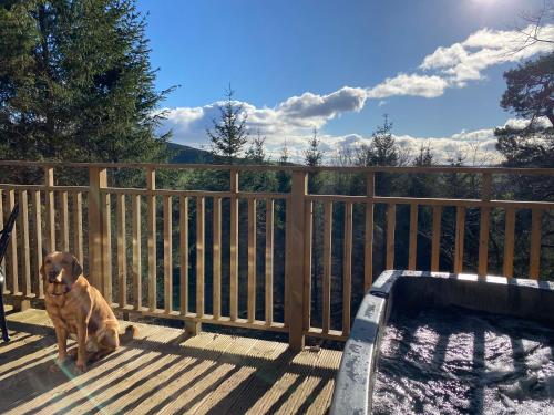 Acorn Lodge with Hot Tub - Apartment - Cupar