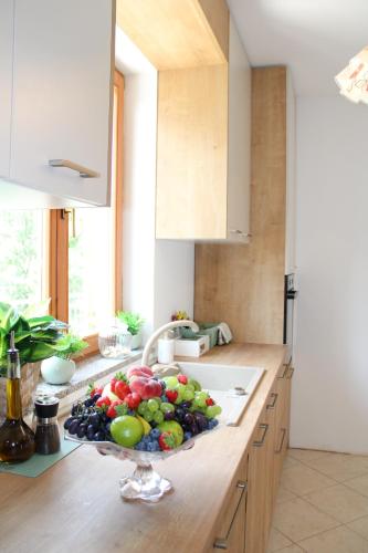 Konyha, Apartment Noel in Sveti Vid-Miholjice