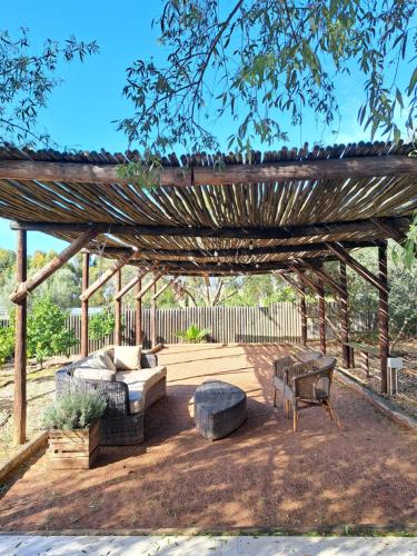 Olive grove cottage in Koringberg