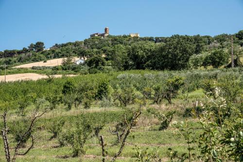  QUEEN appartamenti e camere in Campofilone