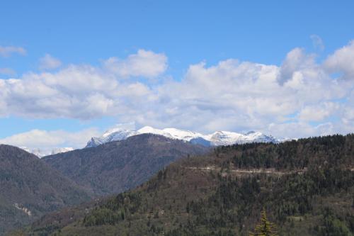 Apkārtne, I profumi del bosco in Enego