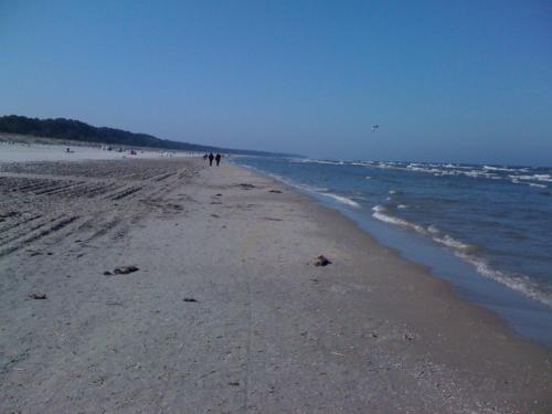 Reetdachhaus direkt am Meer für 6 Personen!!