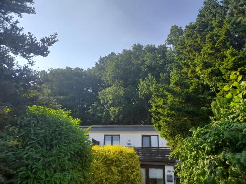 Apartment am Waldrand Nichtraucher gemütlich und ruhig in Itzehoe, Deutschland
