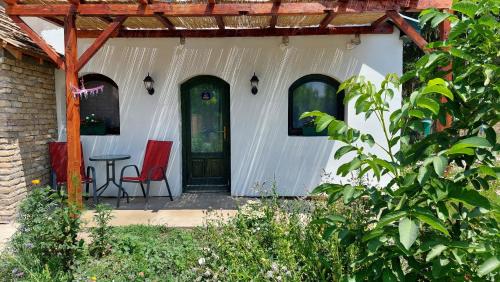 Buitenkant, EVA HOUSE in Pačir