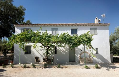 Syvyle, Cazorla (foto 10)