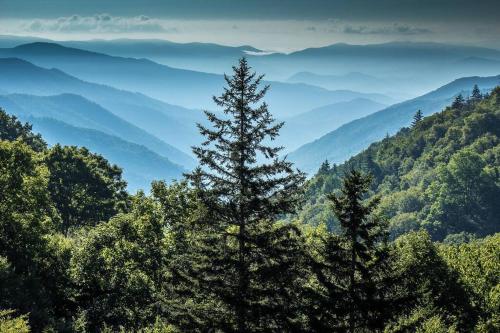 Bear Pause Retreat/Steps to Pkwy/With Indoor Pool in Gatlinburg, USA