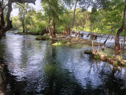 Apartman Vita in Чапліна