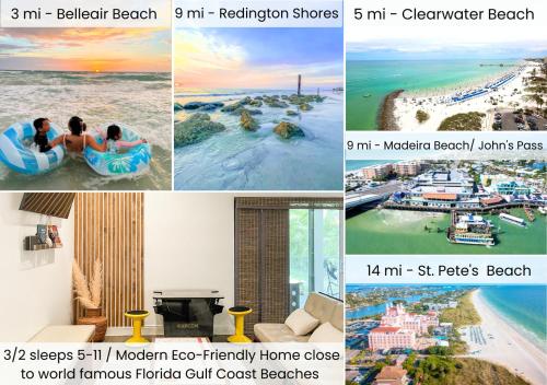 Modern Eco Home near Florida's Best Beaches, Clearwater Beach, St Pete Beach, Madeira Beach, Treasure Island Beach, Indian Rocks Beach
