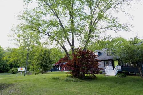 The Norsdale plus CMYK Motel on 10 acres in Phoenicia