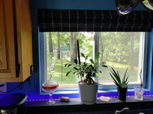 ห้องครัว, Lake House off Route 66 in ลิชฟิลด์ (IL)