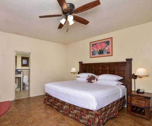 Lodge On The Desert - image 4
