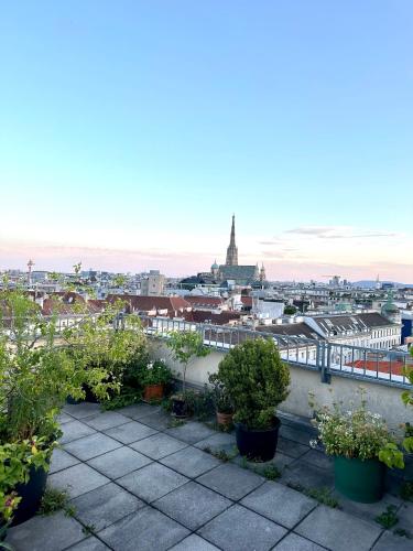  Central&romantic view in Wien