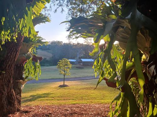 Hideaway Falls - Bunya Cottage