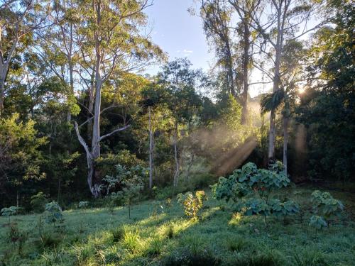 Hideaway Falls - Bunya Cottage