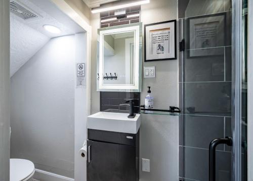Big House/downtown/Pets/Parking/EV/Holiday Ready in Houston, USA